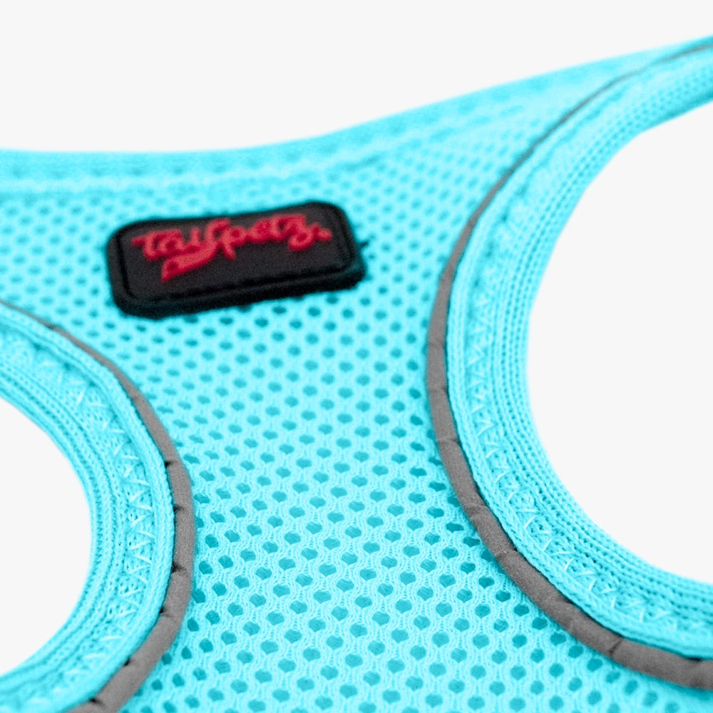 Ocean Air Mesh Harness