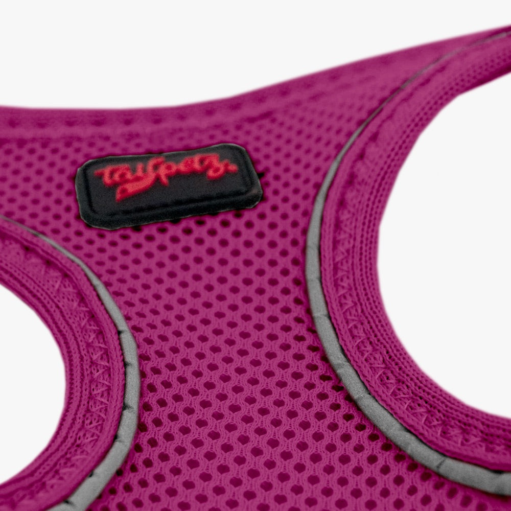 Purple Air Mesh Harness