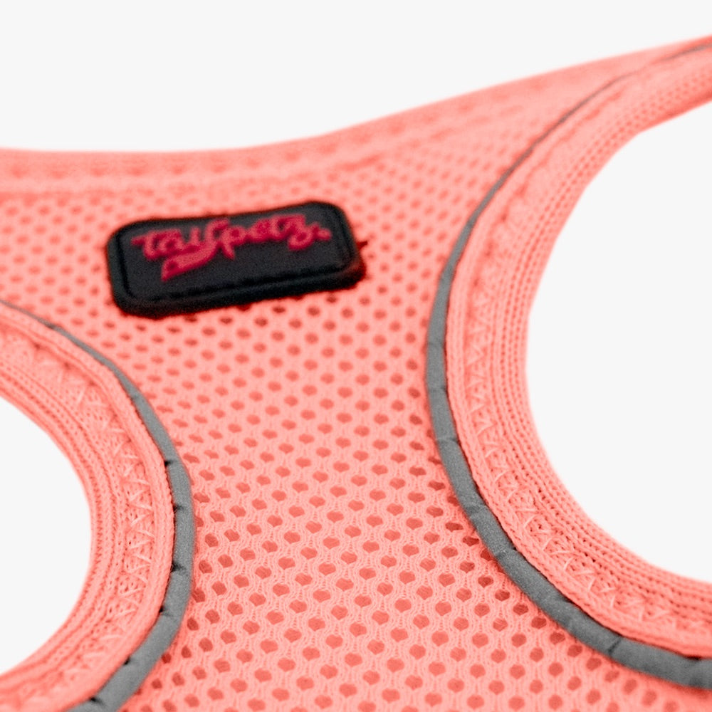 Salmon Air Mesh Harness