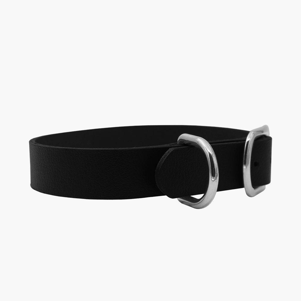 Geniune Leather Classic Collar