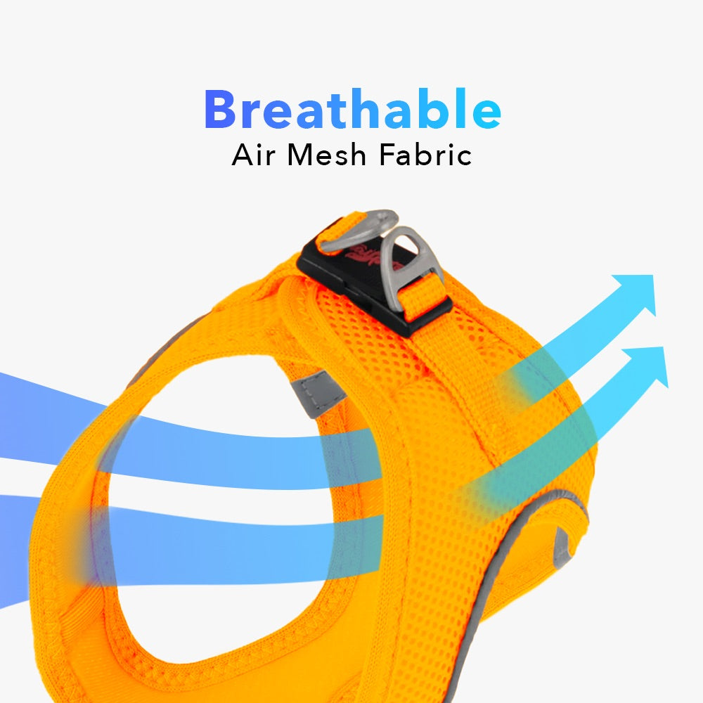 Neon Orange Air Mesh Harness