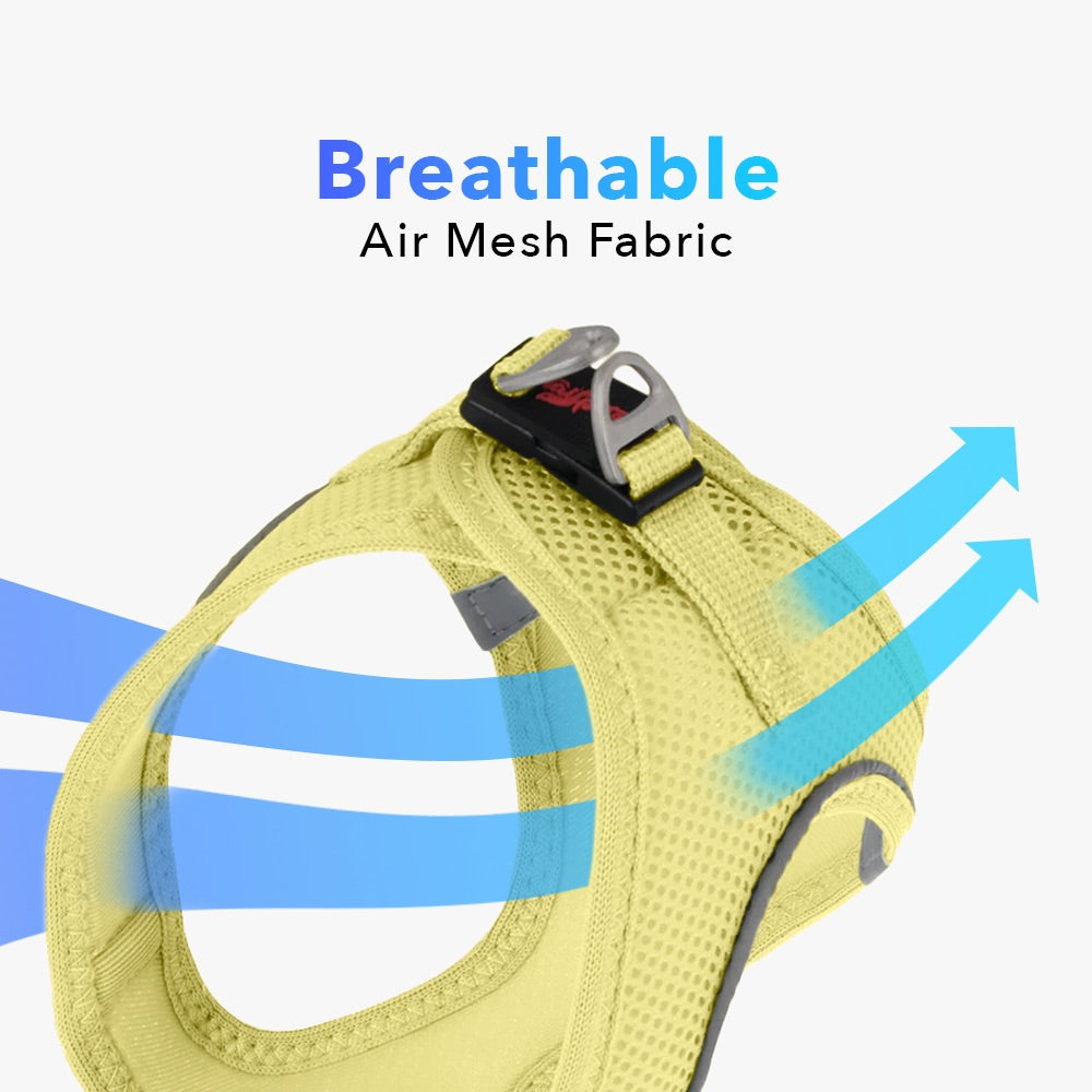 Olive Air Mesh Harness