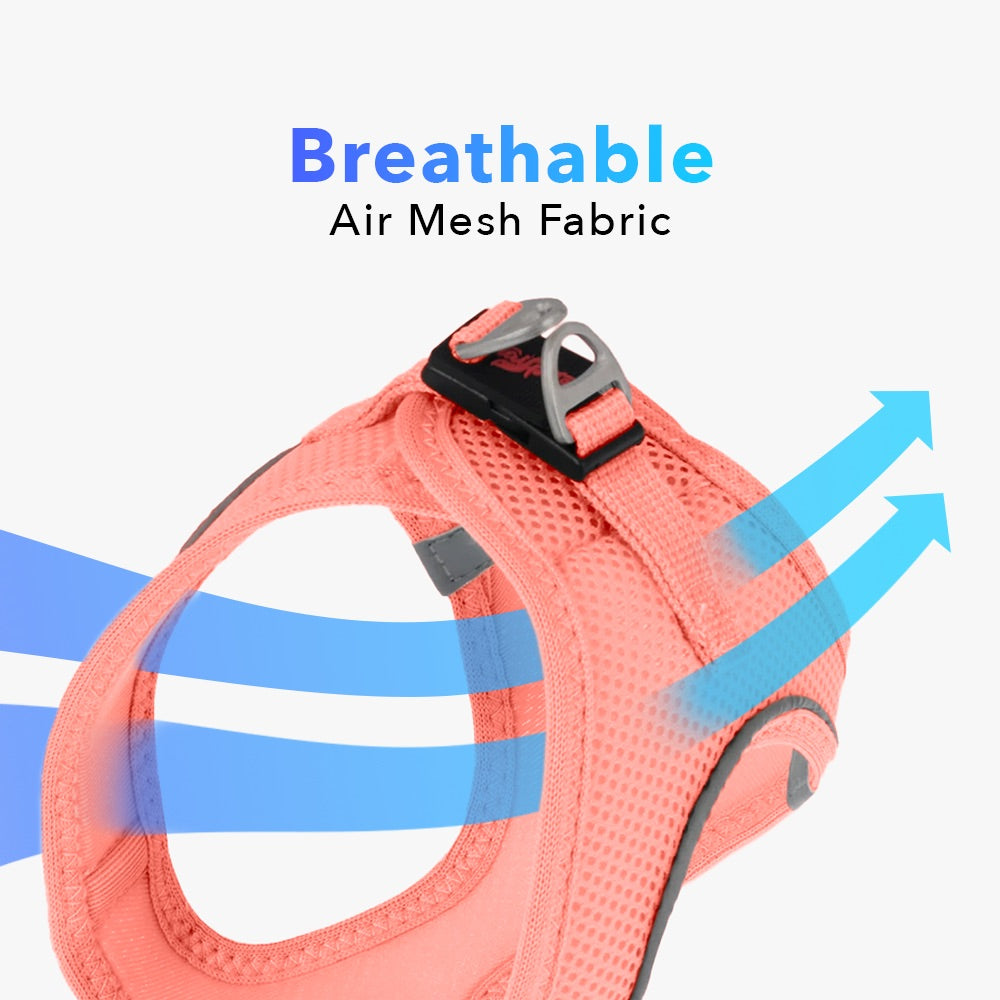 Salmon Air Mesh Harness