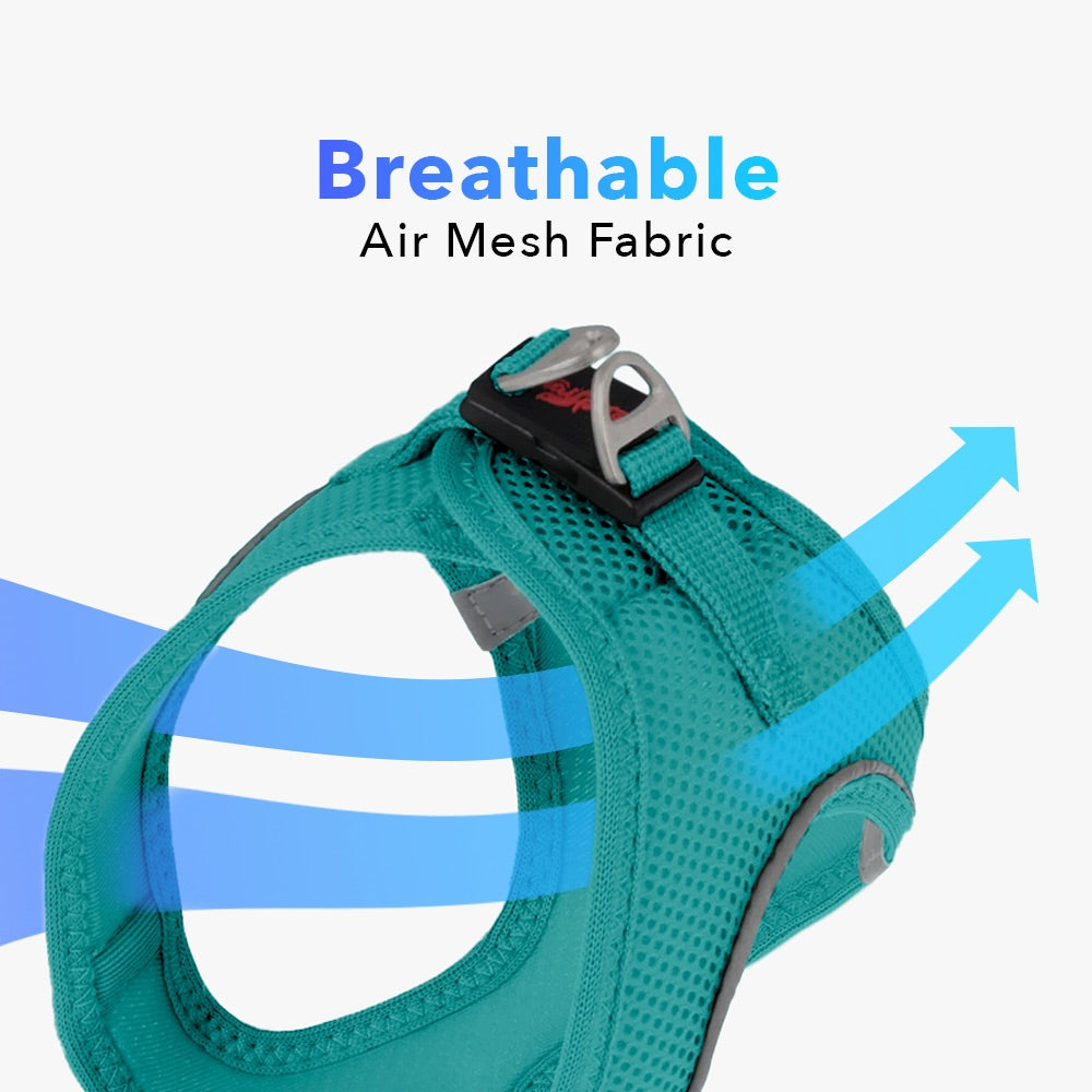 Emerald Air Mesh Harness