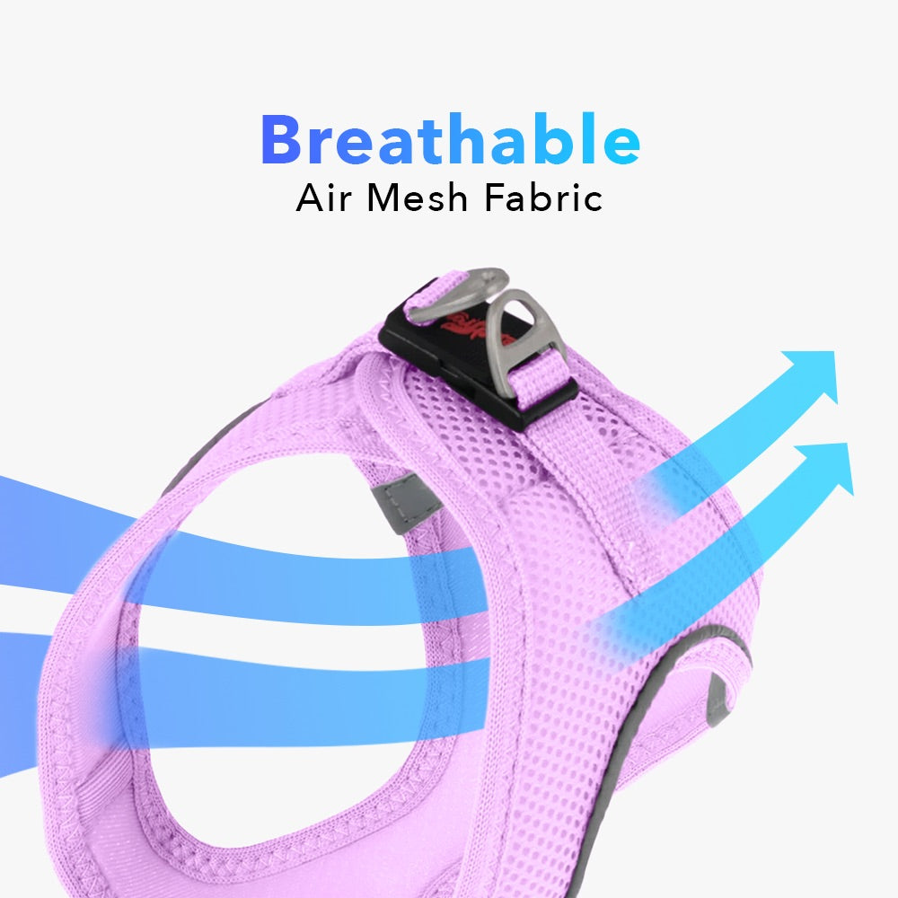 Lilac Air Mesh Harness