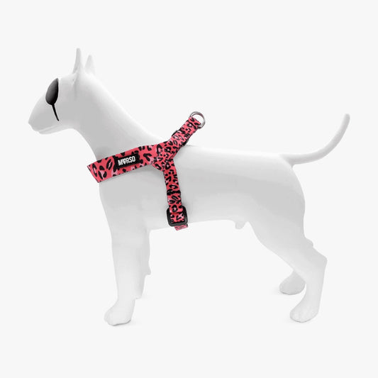 Bubble Leo Adjustable Mini Harness