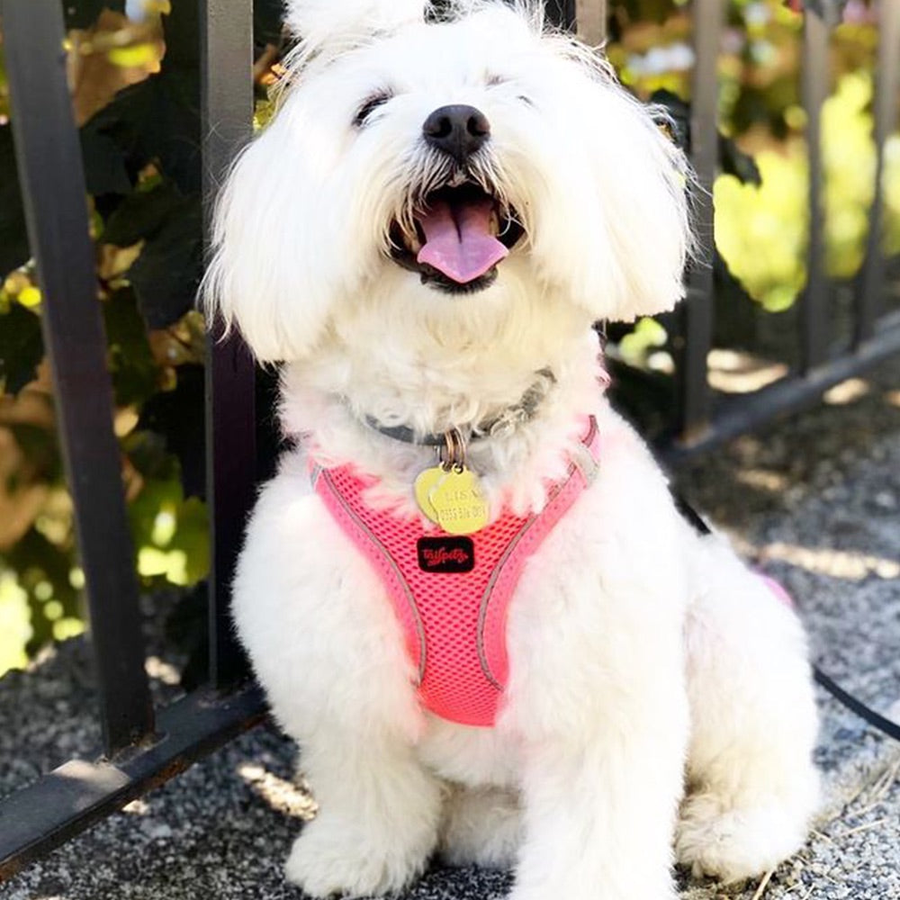 Neon Green Air Mesh Harness