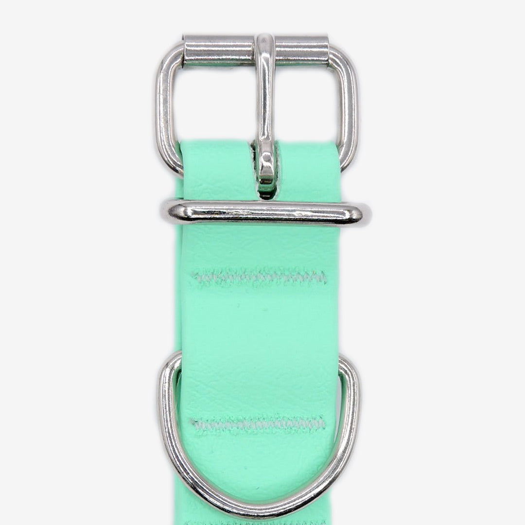 Aquamarine Waterproof Dog Collar