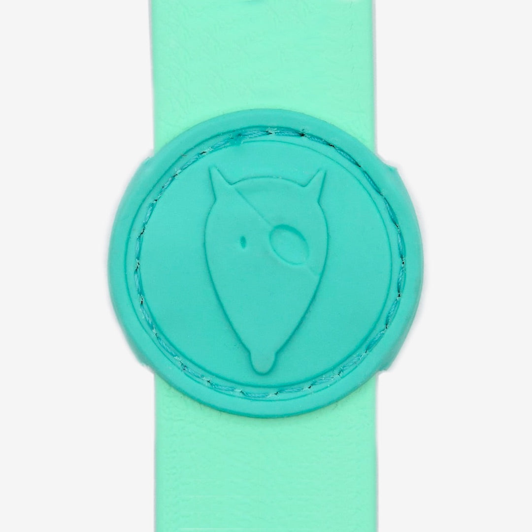 Aquamarine Waterproof Dog Collar