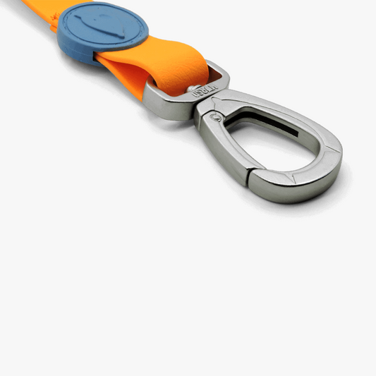 Orange Waterproof Dog Lead