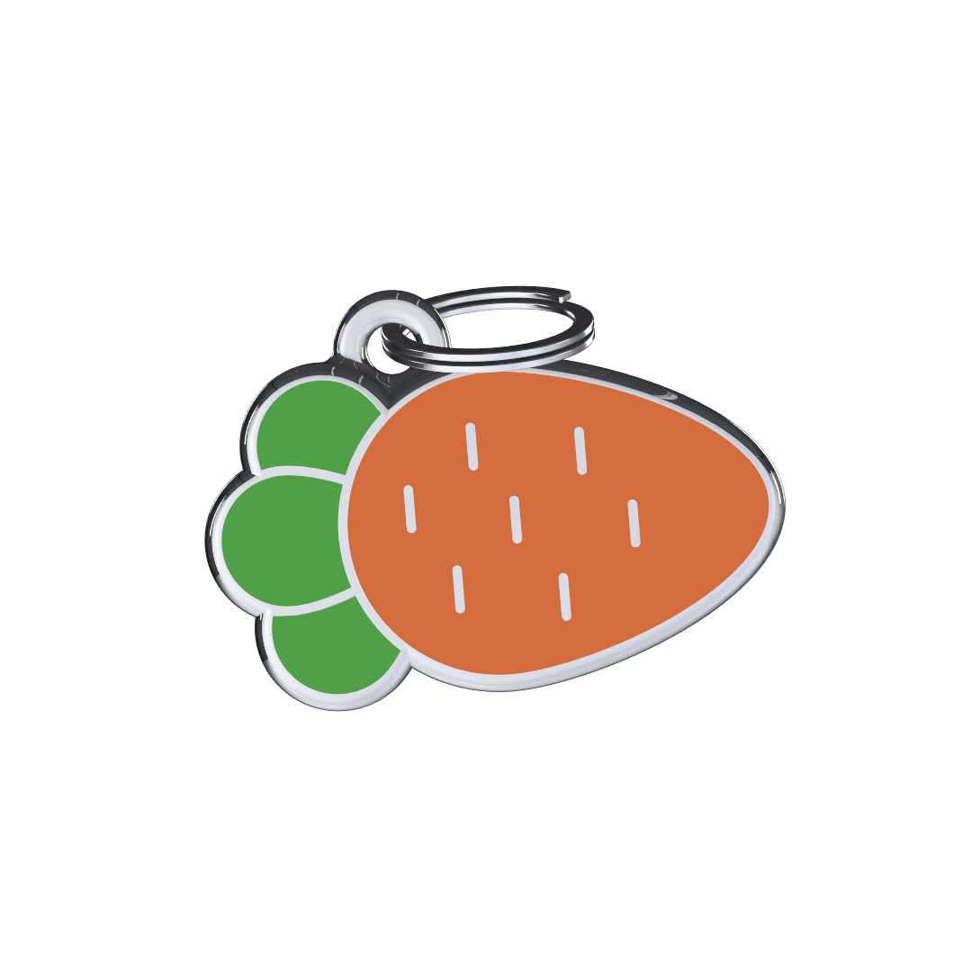 Raw Food Carrot ID Tag