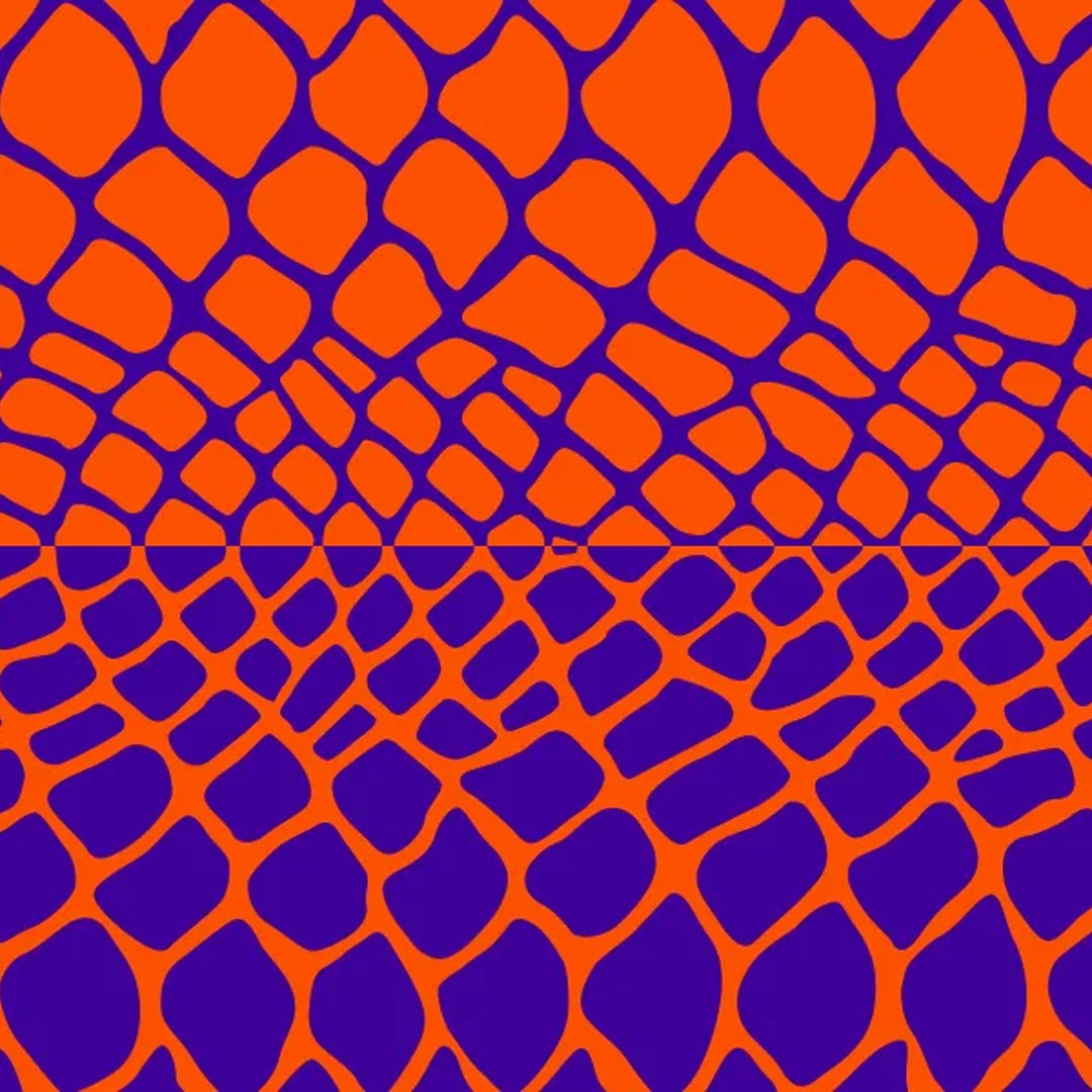 Urban Lizard H-Harness