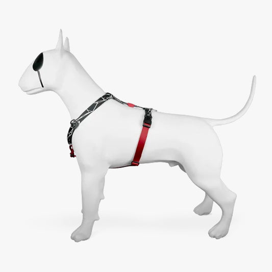 Broken Self H-Harness