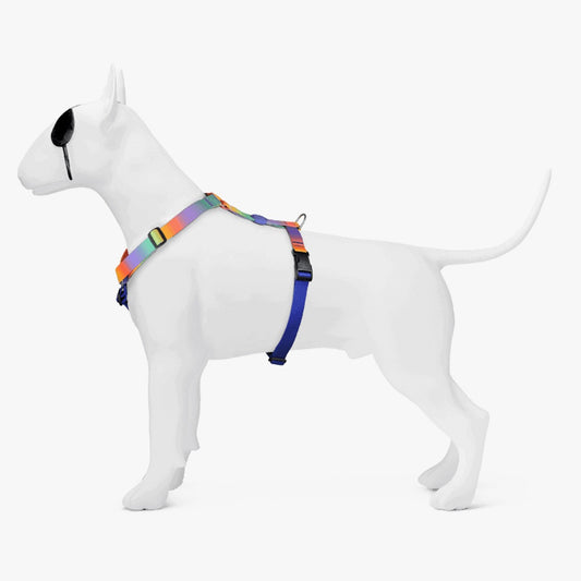 Spring Blossom H-Harness
