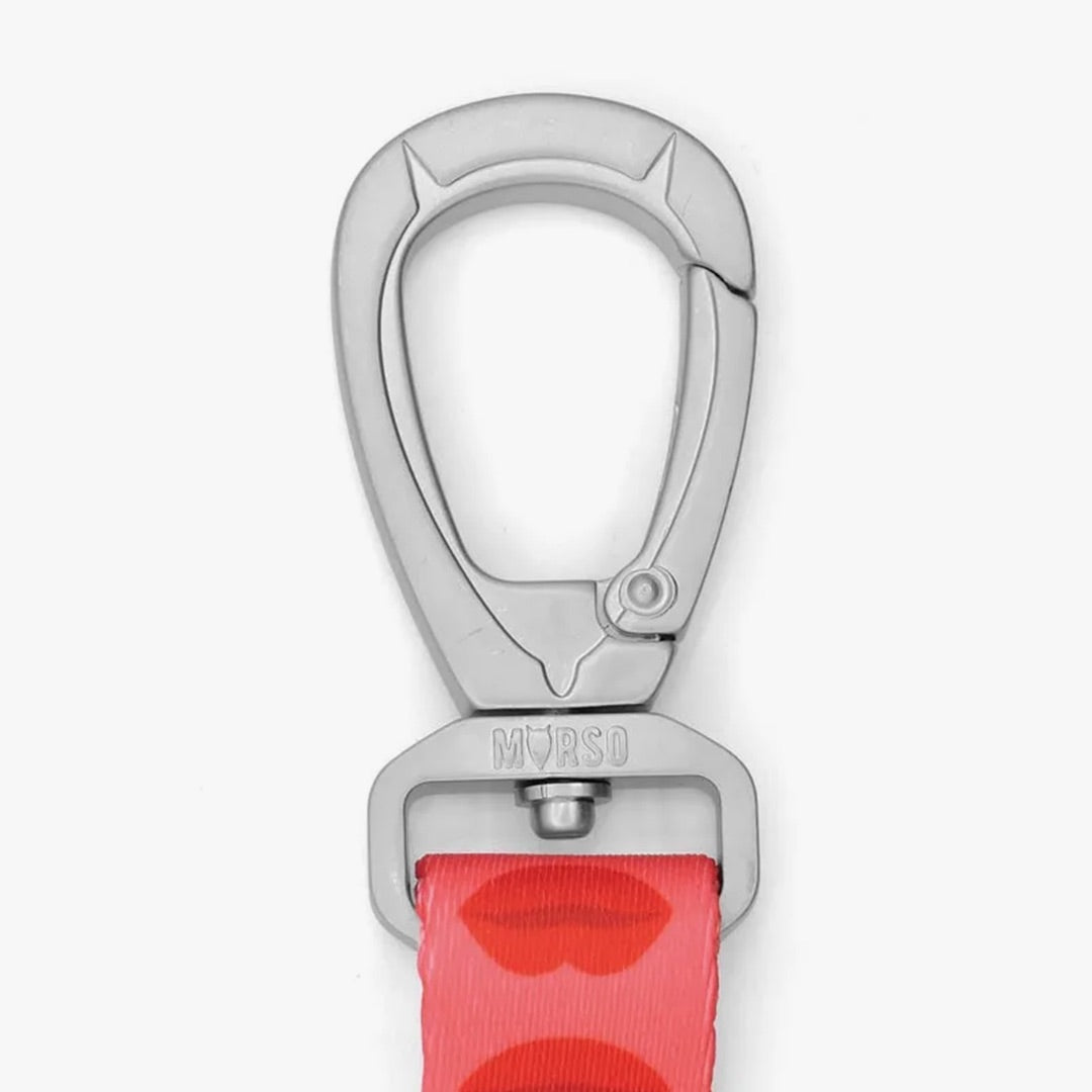 Lipstick Multi-Purpose Dog Lead
