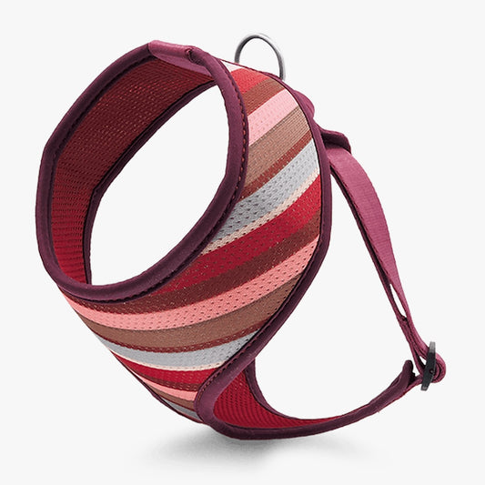 Skyline Air Mesh Harness