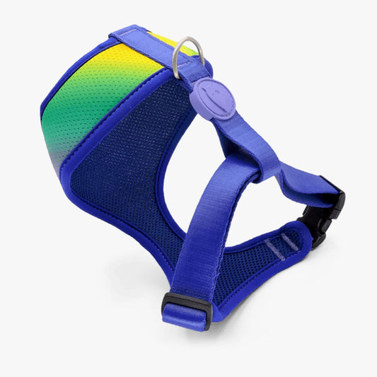 Spring Blossom Air Mesh Harness