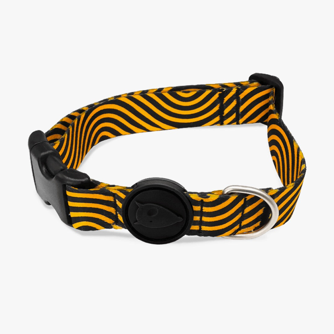 Must-Hard Haze Dog Collar