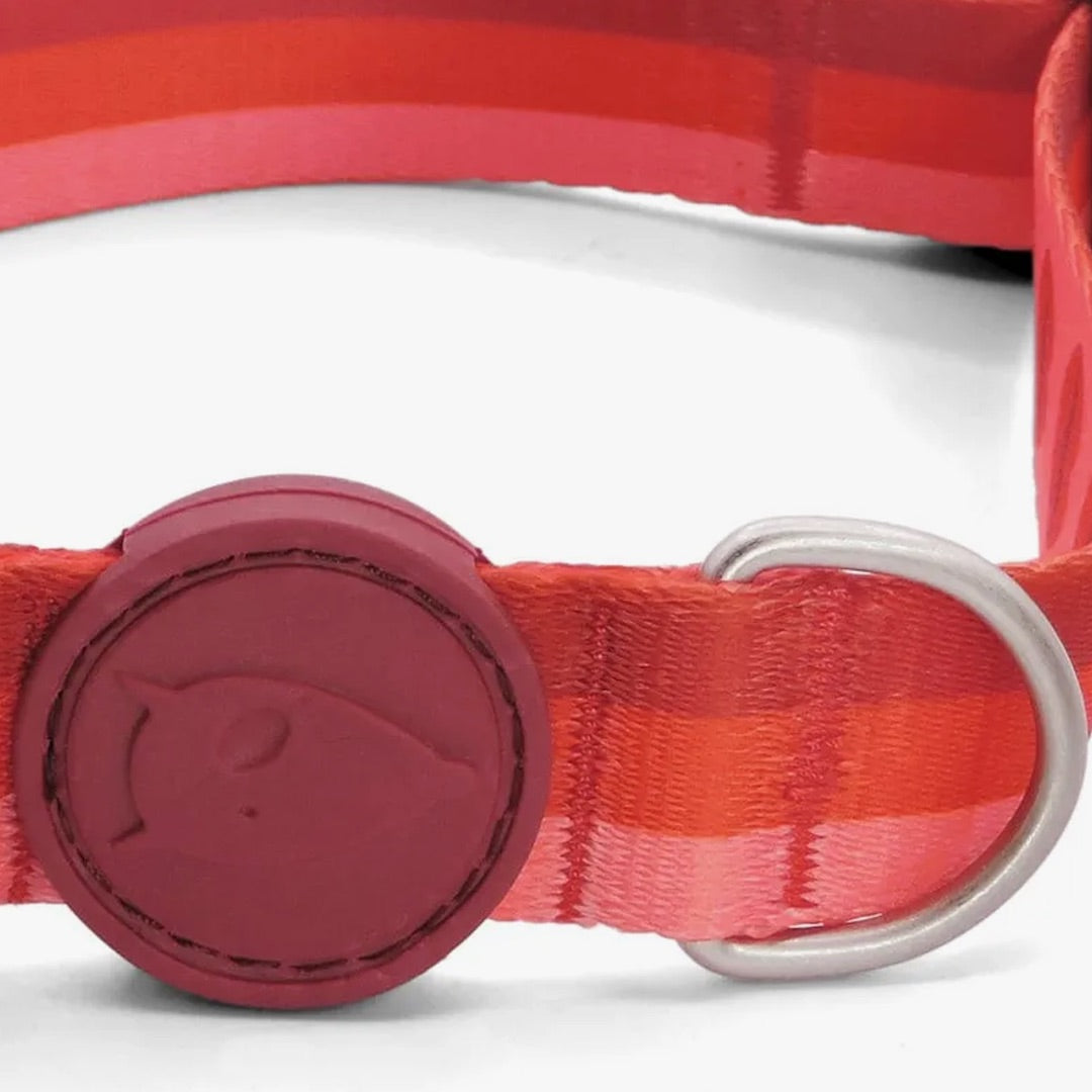 Lipstick Line Dog Collar
