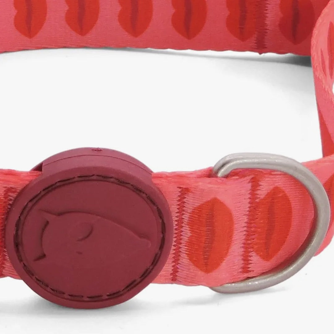 Lipstick Dog Collar