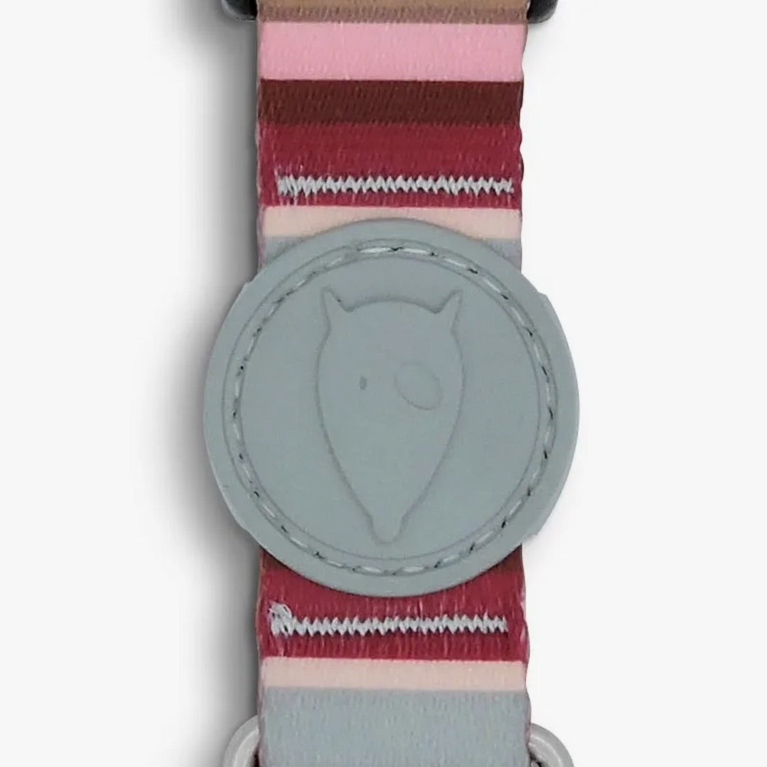 Skyline Dog Collar