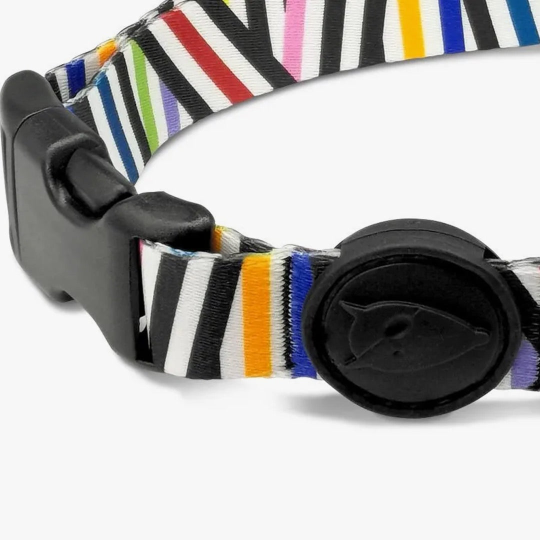 Spaghetti Incident Dog Collar