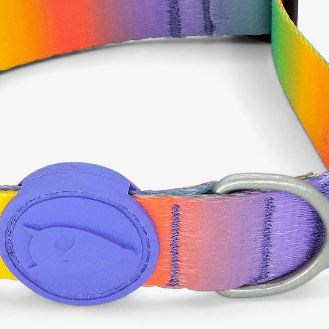 Spring Blossom Dog Collar