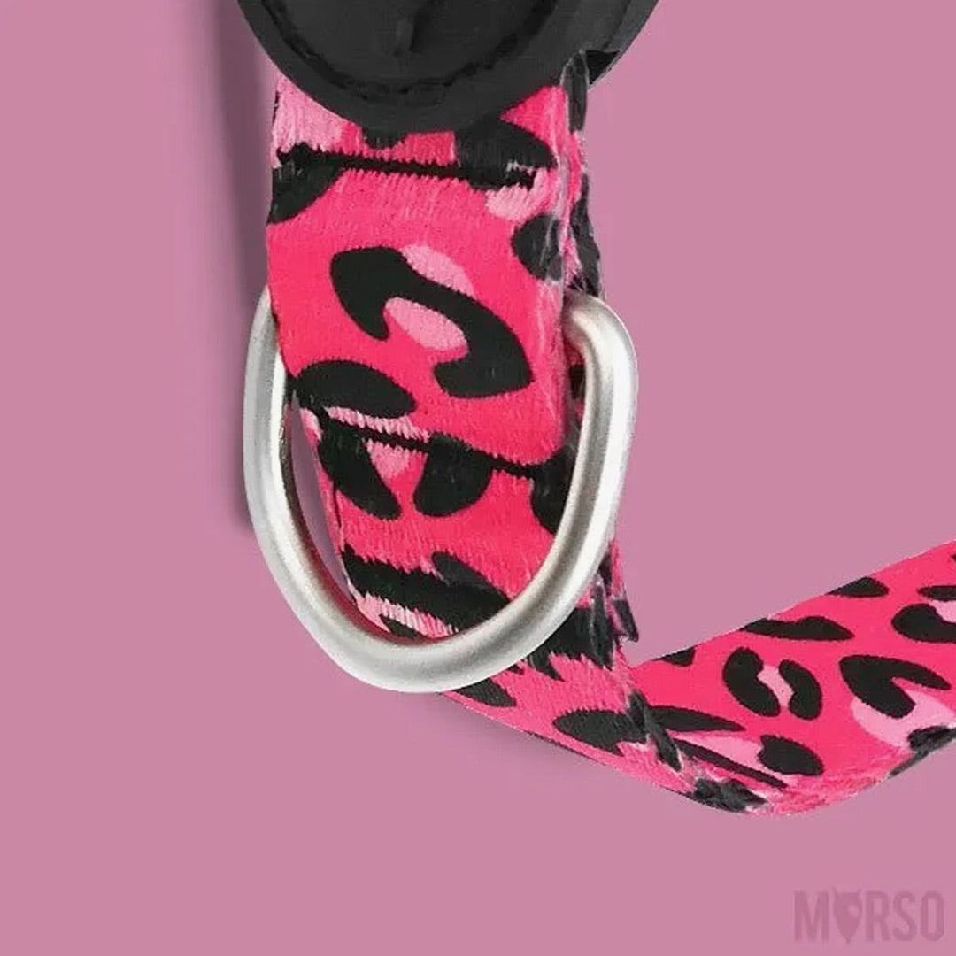 Bubble Leo Dog Collar