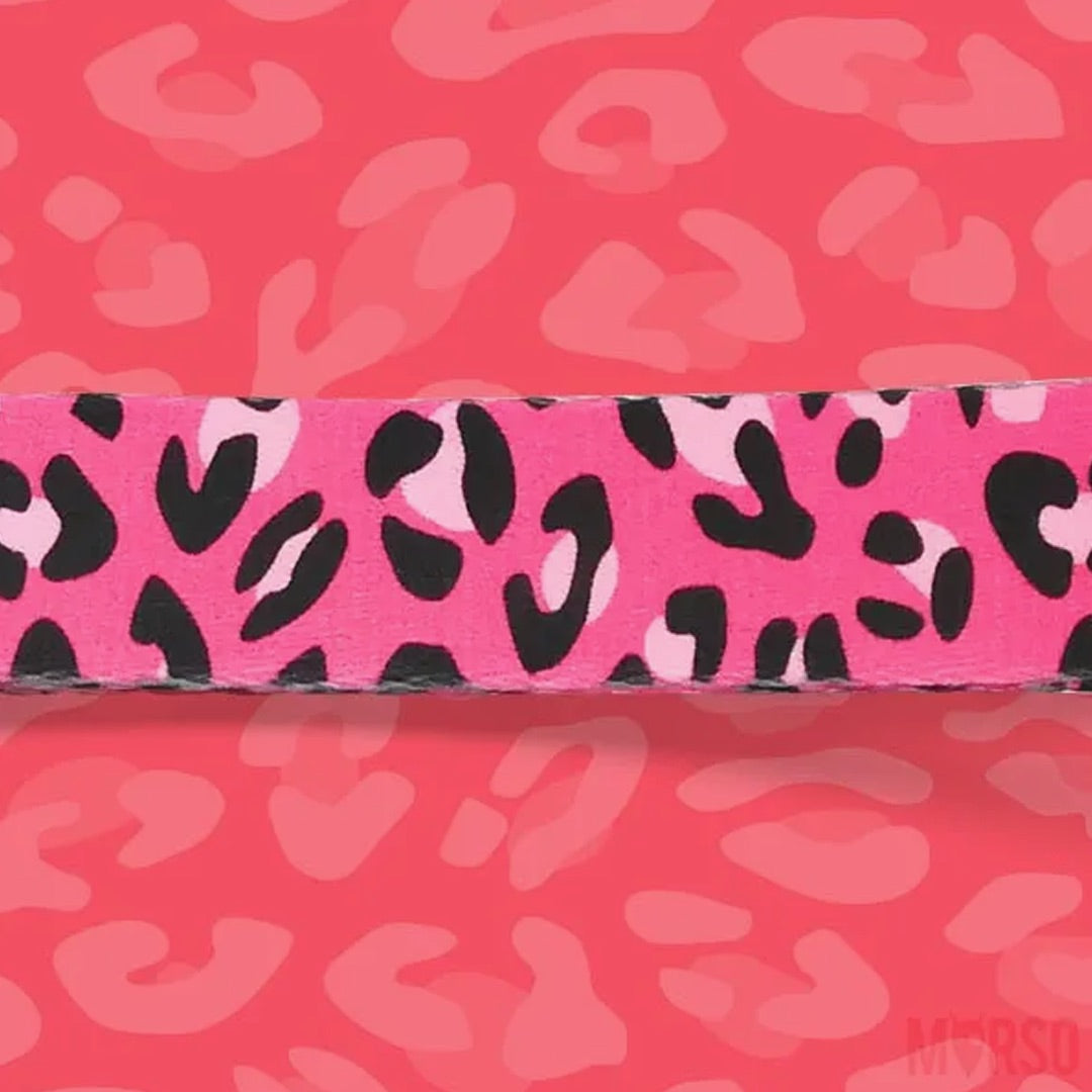 Bubble Leo Dog Collar