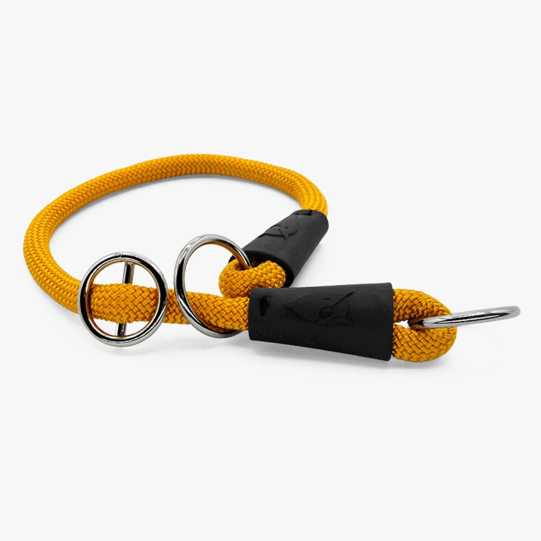 Gold Regular Rope Training Collar