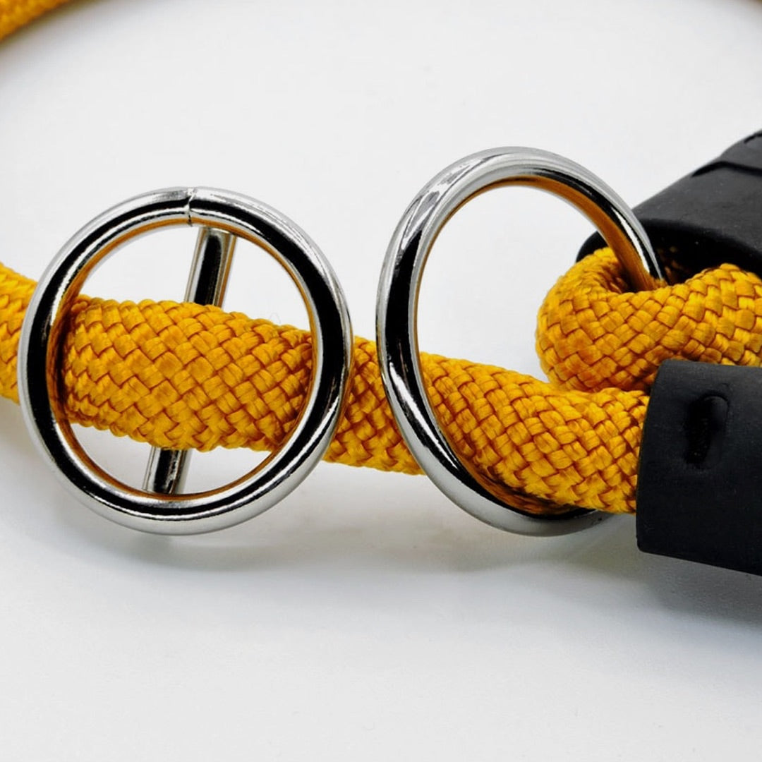Gold Regular Rope Training Collar