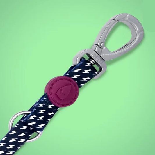 Power Flow Multi-Purpose Dog Lead