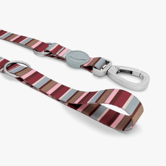 Skyline Multi-Purpose Dog Lead