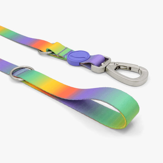 Spring Blossom Multi-Purpose Dog Lead