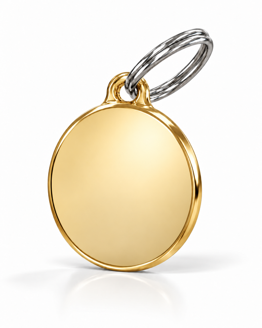 TAGiDOG Classic Gold Round ID Tag, angled view