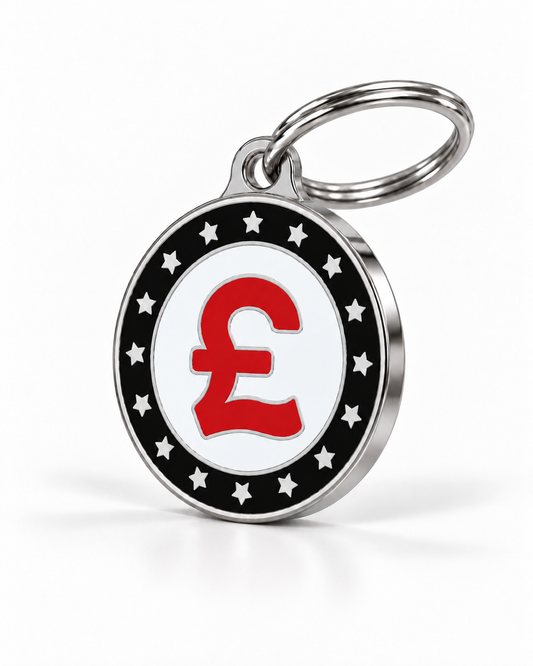 TAGiDOG GBP Coin ID Tag dog ID tag, angled view