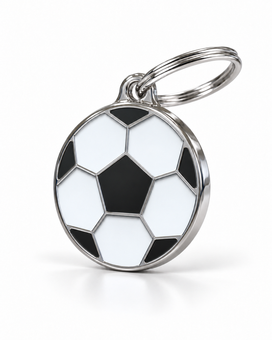 TAGiDOG Kick Off Football ID Tag dog ID tag, angled view