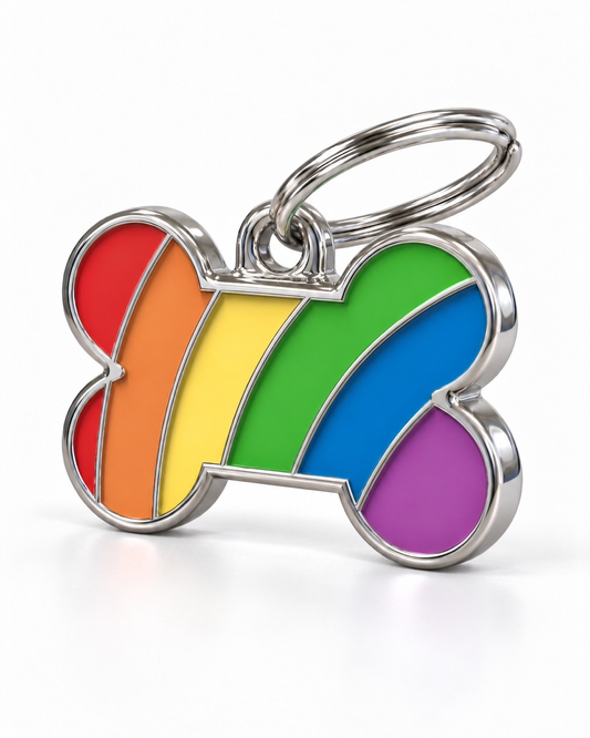 TAGiDOG Pride Bone ID Tag dog ID tag, angled view