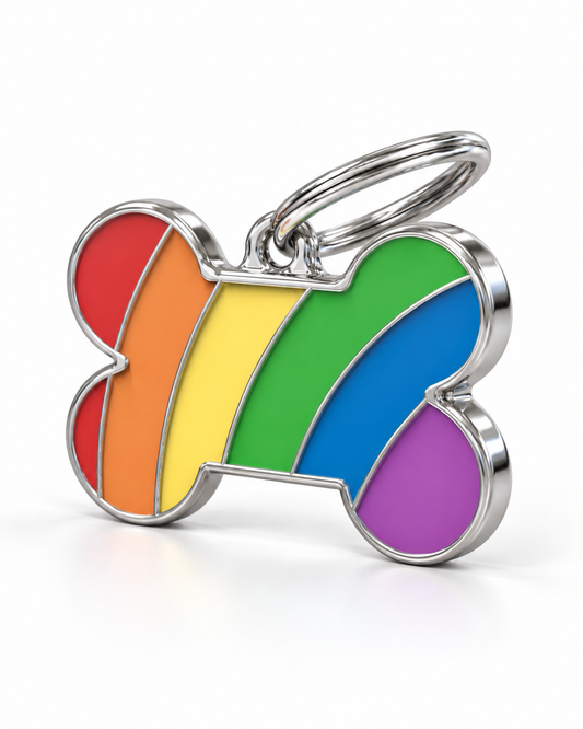 TAGiDOG Pride Bone Rainbow ID Tag Medium dog ID tag, angled view