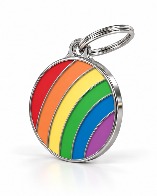TAGiDOG Pride Round Rainbow ID Tag dog ID tag, angled view