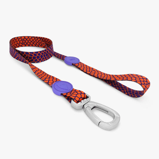 Urban Lizard Classic Dog Lead