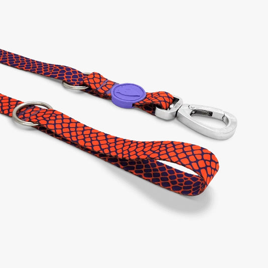 Urban Lizard Multi-Purpose Dog Lead