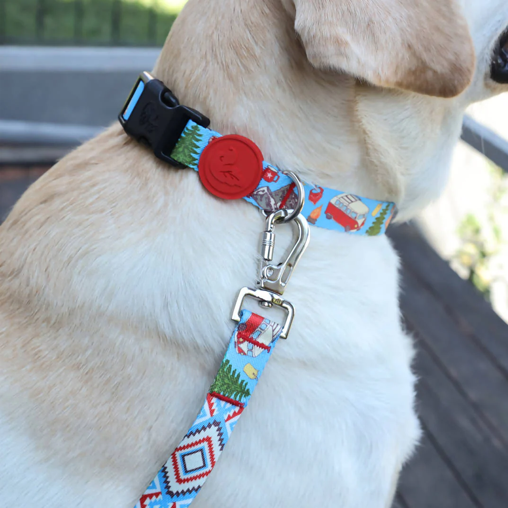 Vibrant collection of dog collars available in our online pet shop. Premium designer dog collar, now in stock at our online store. Puppy Collar.