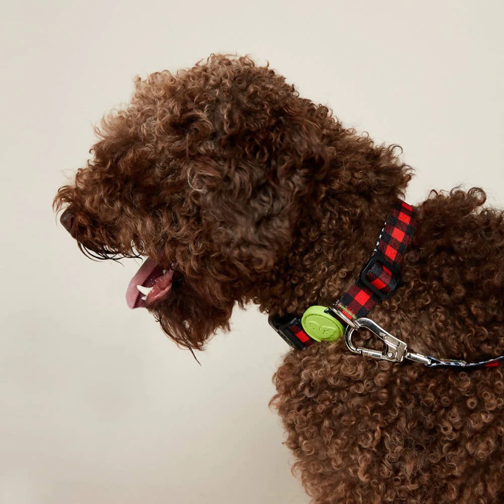 Vibrant collection of dog collars available in our online pet shop. Premium designer dog collar, now in stock at our online store. Puppy Collar.