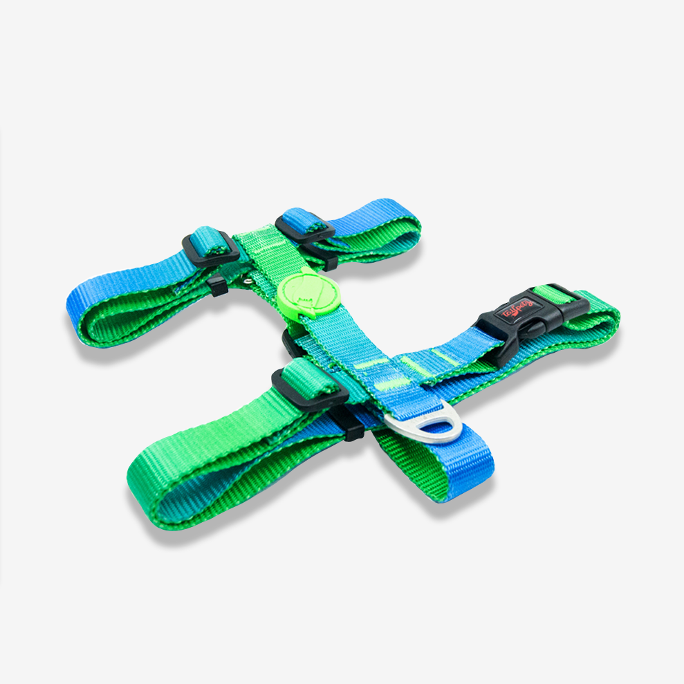 Amazon H Harness No Pull Adjustable Lightweight Harness