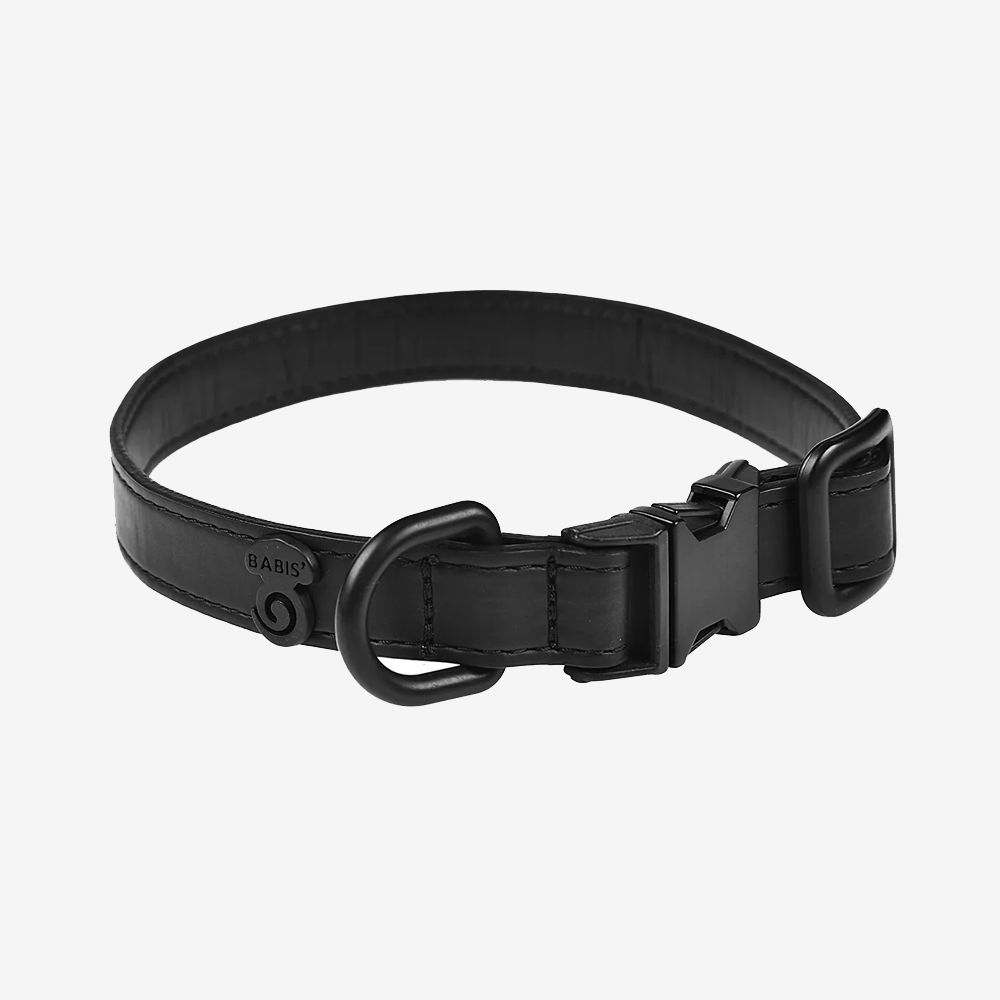 Vibrant collection of dog collars available in our online pet shop. Premium designer dog collar, now in stock at our online store. Puppy Collar. Vegan leather. Sustainable.