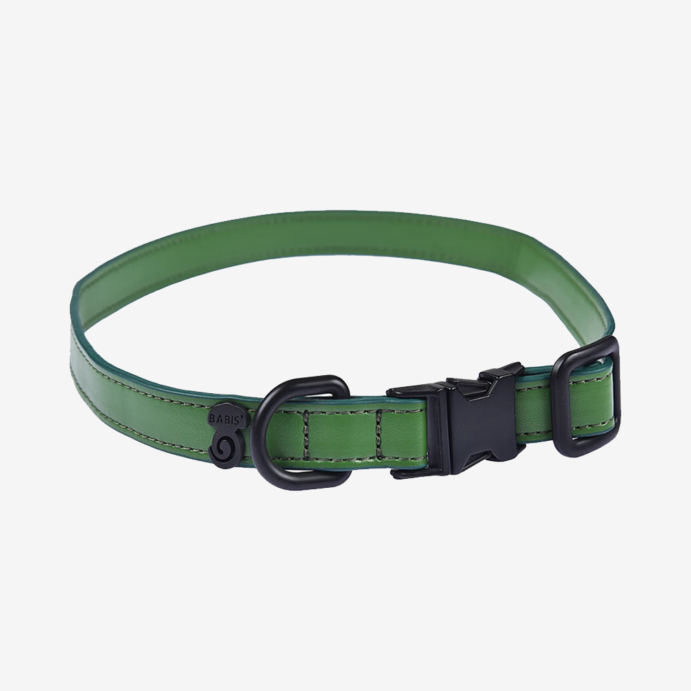 Vegan 2024 dog collars