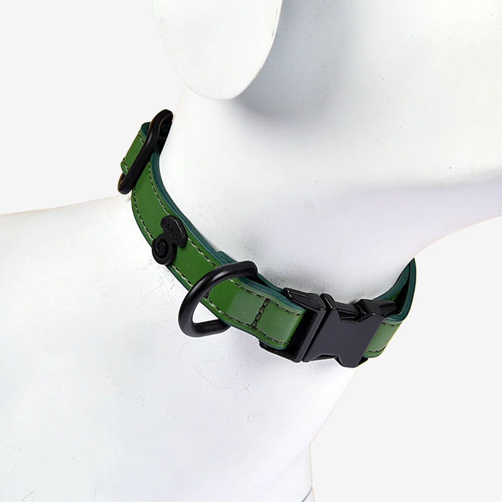 Vibrant collection of dog collars available in our online pet shop. Premium designer dog collar, now in stock at our online store. Puppy Collar. vegan Leather collar.