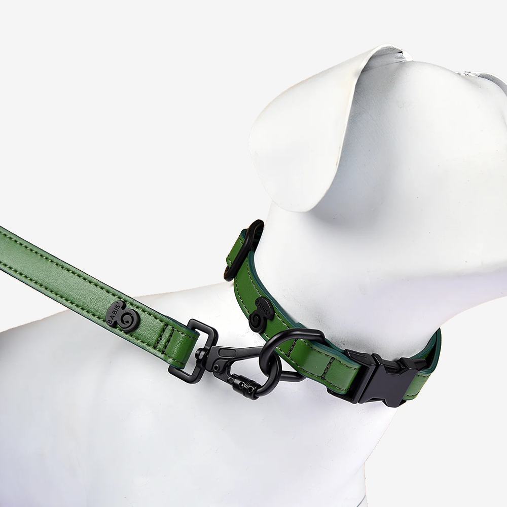Vibrant collection of dog collars available in our online pet shop. Premium designer dog collar, now in stock at our online store. Puppy Collar. vegan Leather collar.