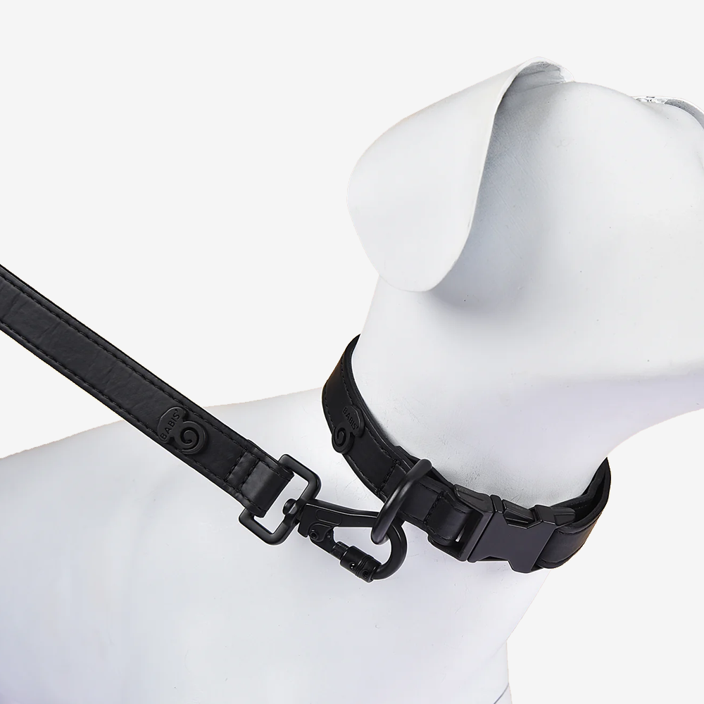 Vibrant collection of dog collars available in our online pet shop. Premium designer dog collar, now in stock at our online store. Puppy Collar. Vegan leather. Sustainable.